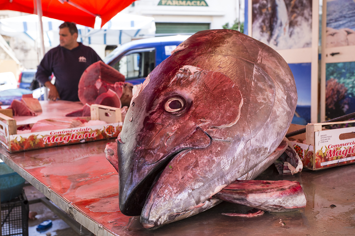 Mercato di Ballarò