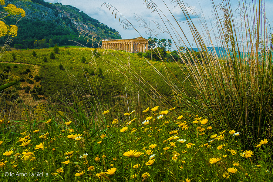 Segesta Tempio Dorico